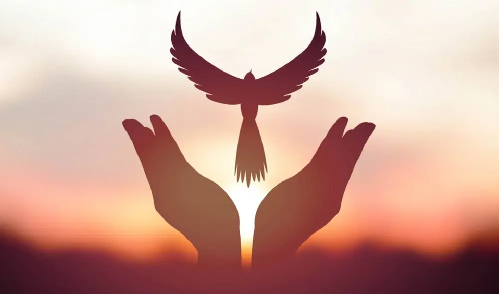 El Día Internacional de la Paz está dedicado a causas como la paz y la democracia, la educación por la paz. Foto: Fundación Centro Histórico El Día Internacional de la Paz está dedicado a causas como la paz y la democracia, la educación por la paz. Foto: Fundación Centro Histórico