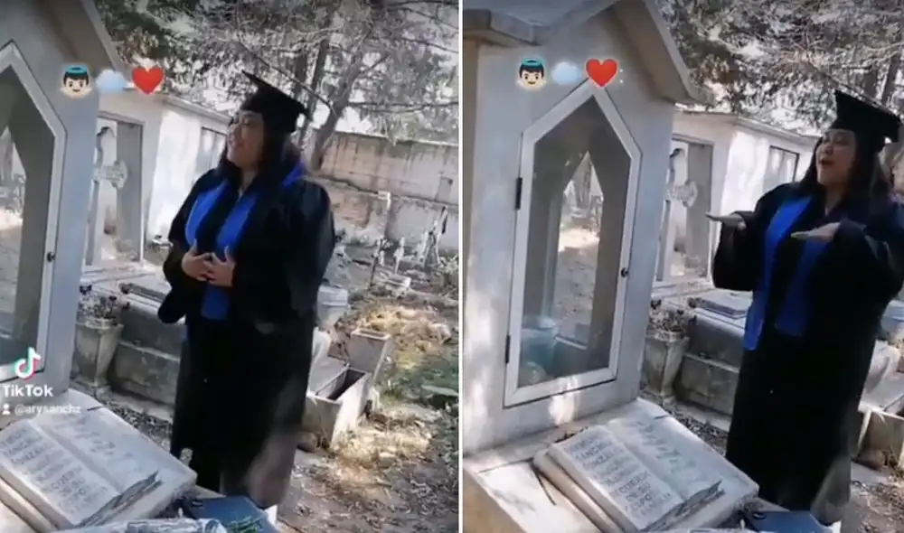 Miles de usuarios quedaron conmovidos con este video. Foto: composición LR/TikTok/@arasnchzp5