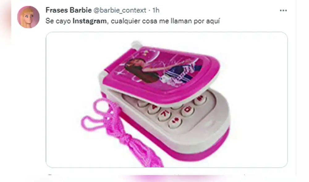 Miles de usuarios se animaron a compartir divertidas imágenes tras la caída de Instagram. Foto: captura de Twitter