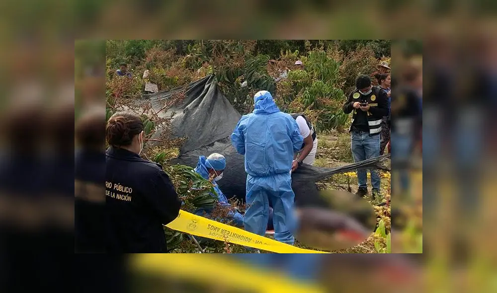 Conmoción en Casma por presunto asesinato de regidora. Foto: difusión Conmoción en Casma por presunto asesinato de regidora. Foto: difusión
