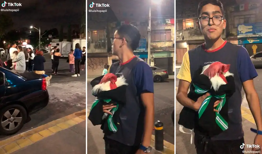 Las imágenes han logrado hasta el momento cerca de 5 millones de reproducciones. Foto: composición LR/captura de TikTok/@Luisitopapii