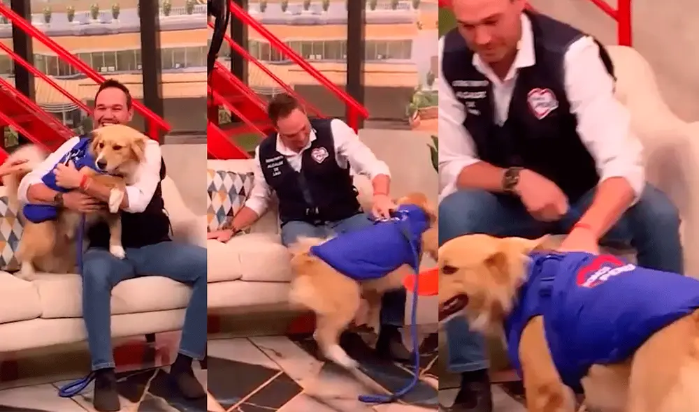 George Forsyth visitó el set de "Arriba mi gente" con su mascota ‘Chimpandolfo’. Foto: composición LR/Instagram/Latina