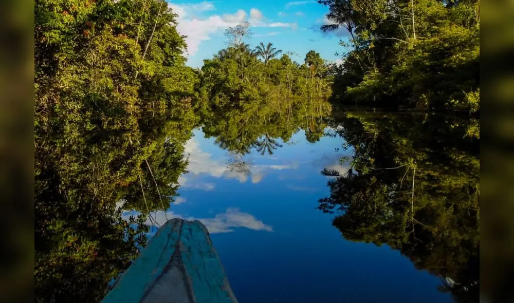 Foto: difusión Foto: difusión