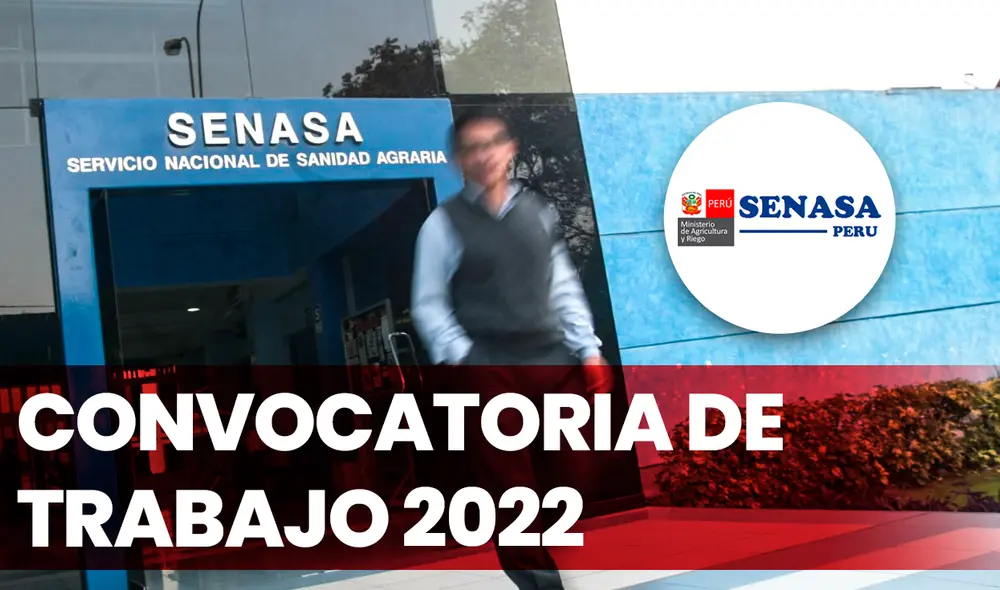 Todos los interesados podrán postular a partir del 30 de septiembre del 2022. Esta convocatoria estará vigente hasta las 4 p. m. del martes 4 de octubre. Foto: composición de Fabrizio Oviedo/La República/Andina Todos los interesados podrán postular a partir del 30 de septiembre del 2022. Esta convocatoria estará vigente hasta las 4 p. m. del martes 4 de octubre. Foto: composición de Fabrizio Oviedo/La República/Andina