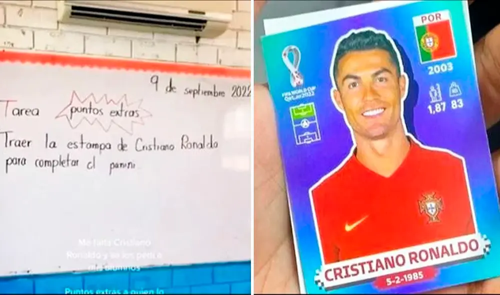 Las imágenes han logrado más de un millón de reproducciones. Foto: composición LR/captura de TikTok/@Danielaperezcruz Las imágenes han logrado más de un millón de reproducciones. Foto: composición LR/captura de TikTok/@Danielaperezcruz