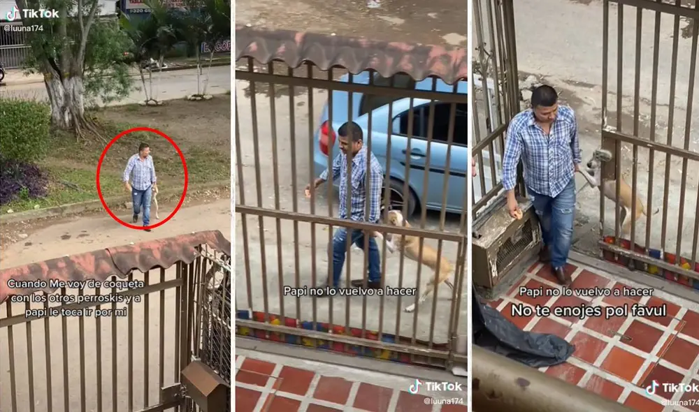 El singular hecho no tardó en volverse tendencia en las redes sociales. Foto: composición LR/captura de TikTok/@luuna174 El singular hecho no tardó en volverse tendencia en las redes sociales. Foto: composición LR/captura de TikTok/@luuna174