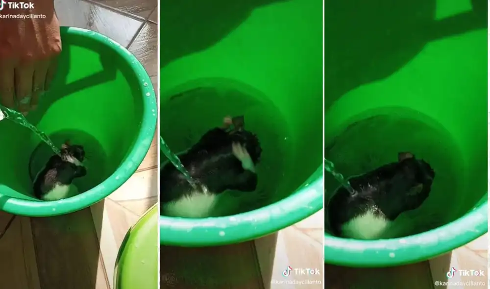 El suceso no tardó en viralizarse por las redes sociales. Foto: composición LR/captura de TikTok/@karinadaycillanto El suceso no tardó en viralizarse por las redes sociales. Foto: composición LR/captura de TikTok/@karinadaycillanto