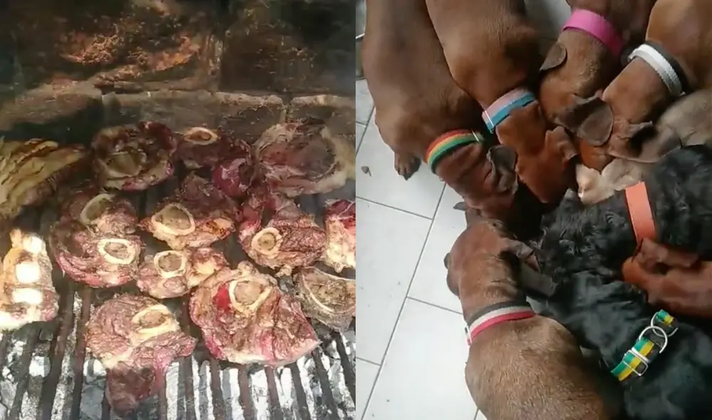 Este hecho sucedió en Argentina. Foto: composición LR/TikTok/@elperey22 Este hecho sucedió en Argentina. Foto: composición LR/TikTok/@elperey22