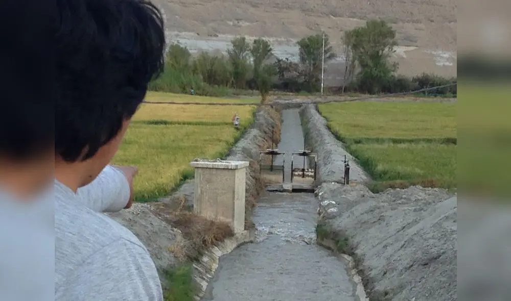 Valle de tambo. Comparte la cuenca hídrica con Moquegua, exige que la compensación de agua de Quellaveco sea más justa. Foto: La República