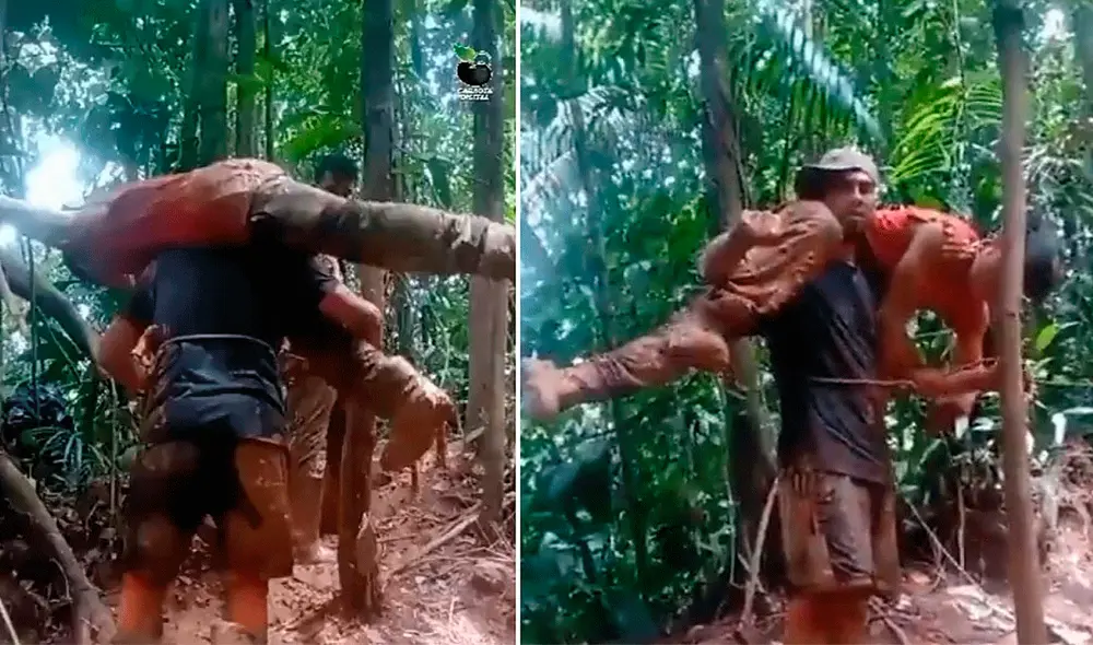 “Vea gente, Darién, montaña de las Panteras. Sí se puede. Se trajo al amigo desde Venezuela con discapacidad, subiendo todo este tramo, un aplauso para él”, manifestó uno de los migrantes del grupo. Foto: Caraota Digital