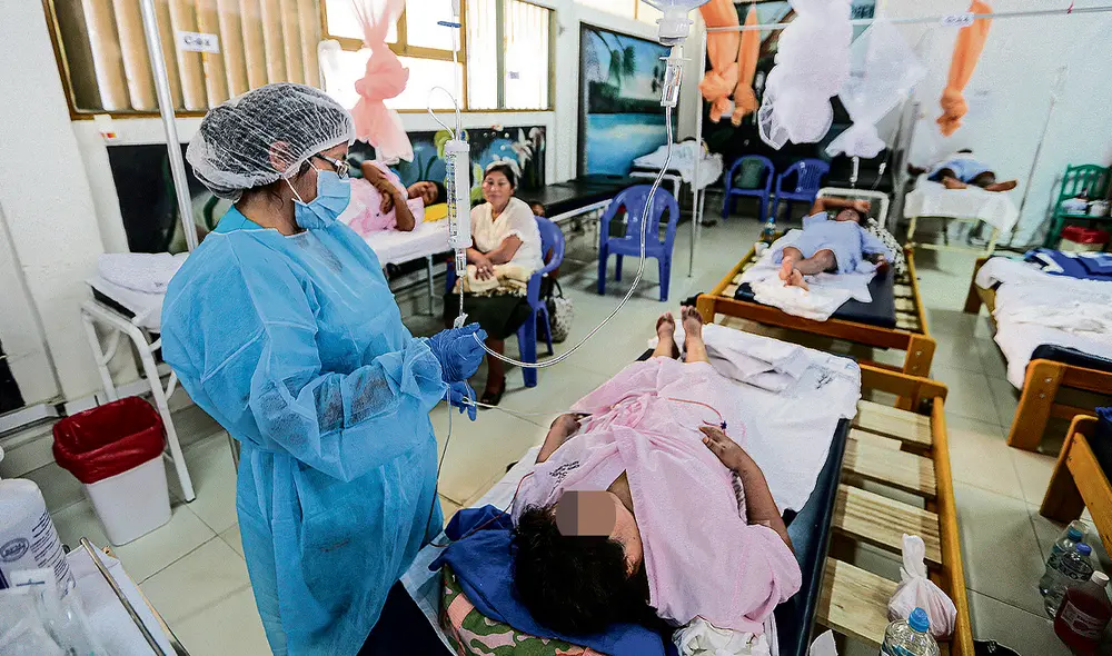 Mucho cuidado. El dengue se transmite a las personas por medio de la picadura de los mosquitos de la especie Aedes aegypti. Solicitan priorizar prevención. Foto: difusión