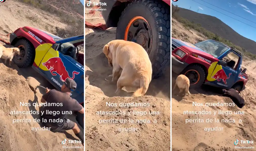 Las imágenes ya han logrado más de 2,5 millones de visualizaciones en redes sociales. Foto: composición LR/captura de TikTok/@Heyitssalann