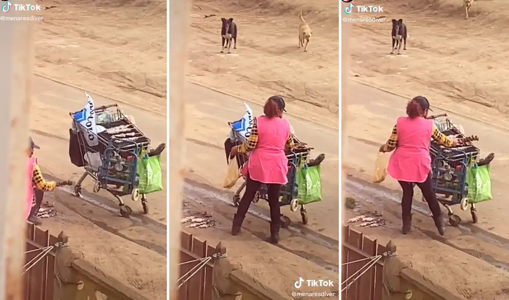 Usuarios en redes sociales se indignaron al ver las impactantes imágenes. Foto: composición LR/captura de TikTok/@Menaresddiver