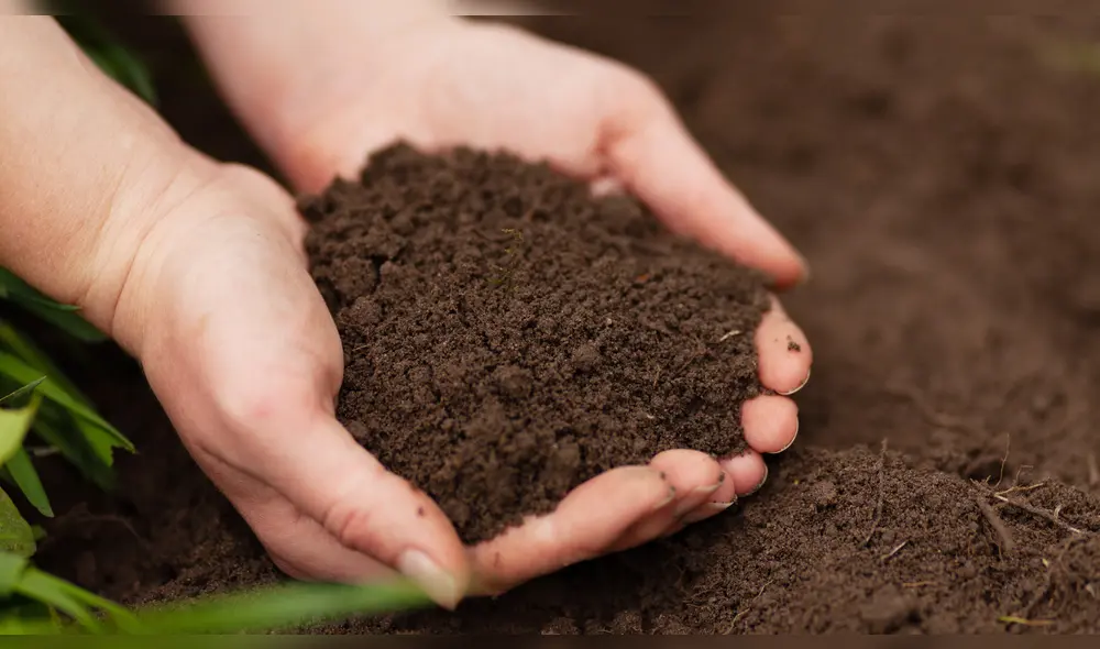 Existe una gran variedad de abonos orgánicos sólidos y líquidos como el compost, estiércol de pollo, el compost, entre otros. Foto: CAP Existe una gran variedad de abonos orgánicos sólidos y líquidos como el compost, estiércol de pollo, el compost, entre otros. Foto: CAP