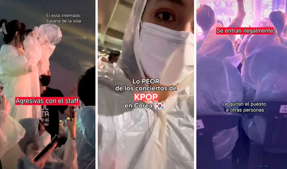 Desde personas con cámaras profesionales hasta incidentes con los agentes de seguridad, fueron algunas de las cosas que presenció la joven. Foto: composición LR/TikTok/@danigonpe1