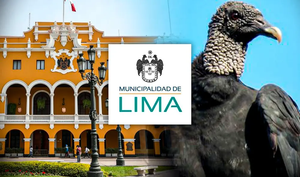 Gallinazos en Lima: aves no aparecen en el escudo de la municipalidad de Lima. Foto: composición Gerson Cardoso/LR/Municipalidad de Lima/Andina