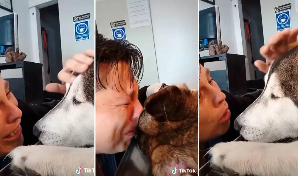 El joven se despidió de su perro tras 12 años de vivir a su lado. Foto: composición LR/captura de TikTok/El Popular