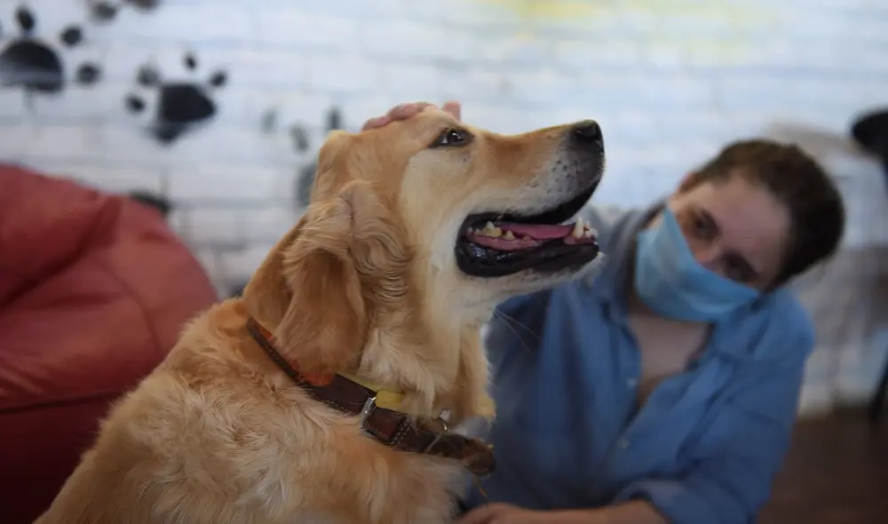 Los investigadores recolectaron muestras de sudor y aliento de los participantes antes y después de resolver un problema matemático difícil. Foto: AFP