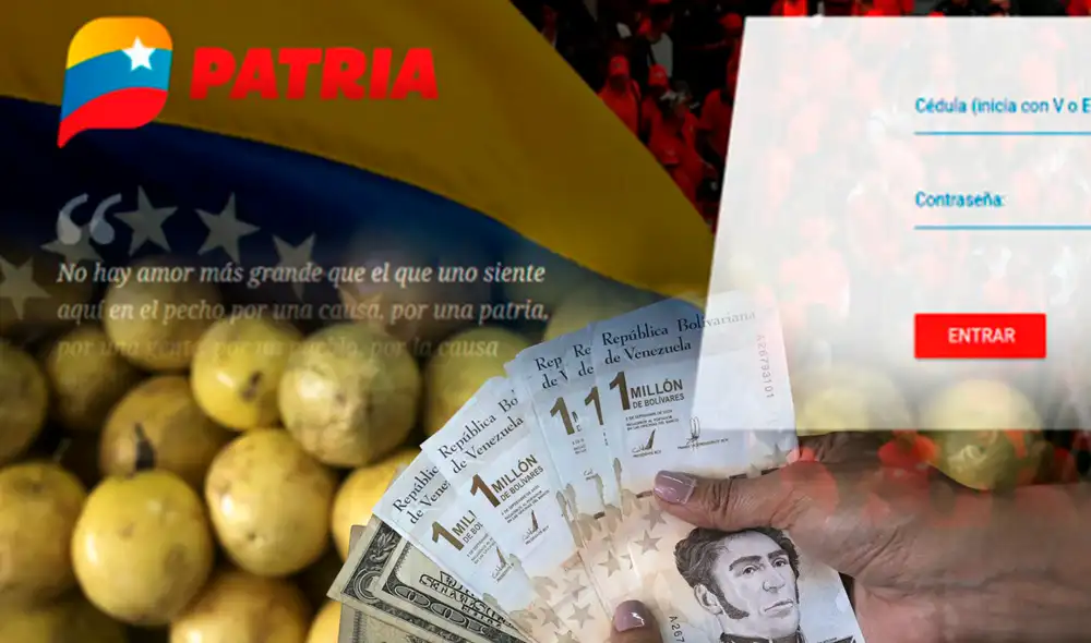 Bono Economía Familiar: inicia el pago del nuevo bono de septiembre a través de la plataforma Patria. Foto: composición/Plataforma Patria/AFP Bono Economía Familiar: inicia el pago del nuevo bono de septiembre a través de la plataforma Patria. Foto: composición/Plataforma Patria/AFP