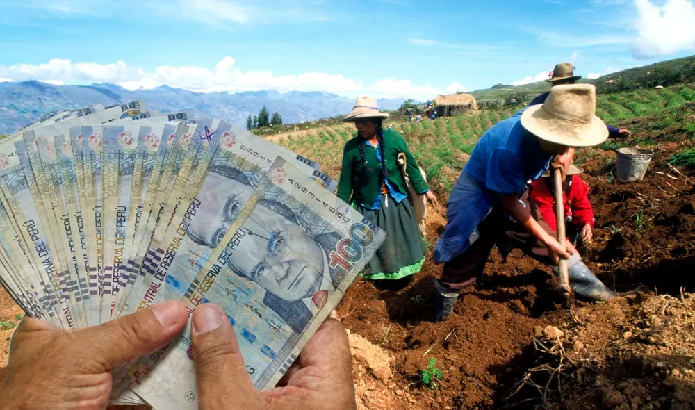 Primer listado del Fertiabono incluye solo a agricultores con hasta 1 hectárea de cultivos inscritos en el PPA. Foto: composición LR/Andina Primer listado del Fertiabono incluye solo a agricultores con hasta 1 hectárea de cultivos inscritos en el PPA. Foto: composición LR/Andina