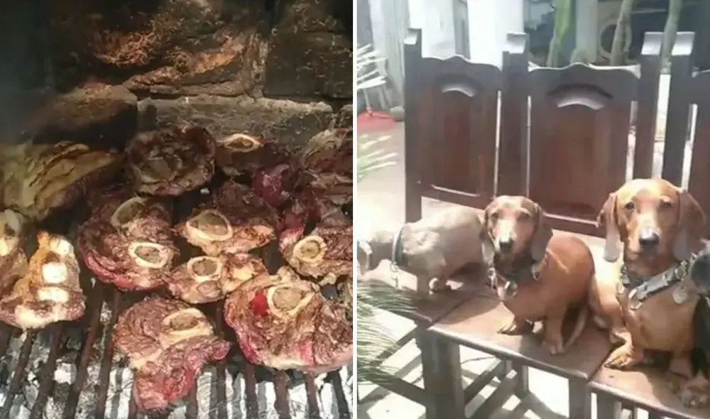 Miles de usuarios quedaron impresionados con esta gran celebración. Foto: composición LR/TikTok/@elperey22 Miles de usuarios quedaron impresionados con esta gran celebración. Foto: composición LR/TikTok/@elperey22