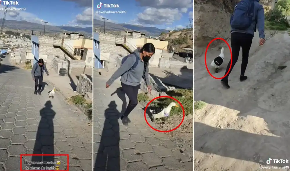 El video no tardó en viralizarse en redes sociales. Foto: composición LR/captura de TikTok/@evelynherrera919