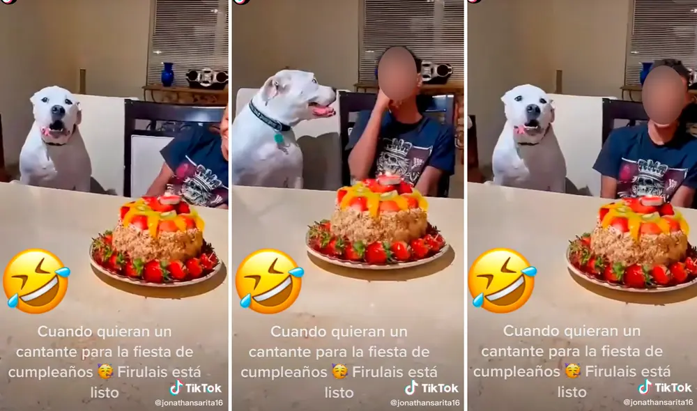 Las imágenes han logrado más de 4 millones de visualizaciones en redes sociales. Foto: composición LR/captura de TikTok/@Jonathansarita16