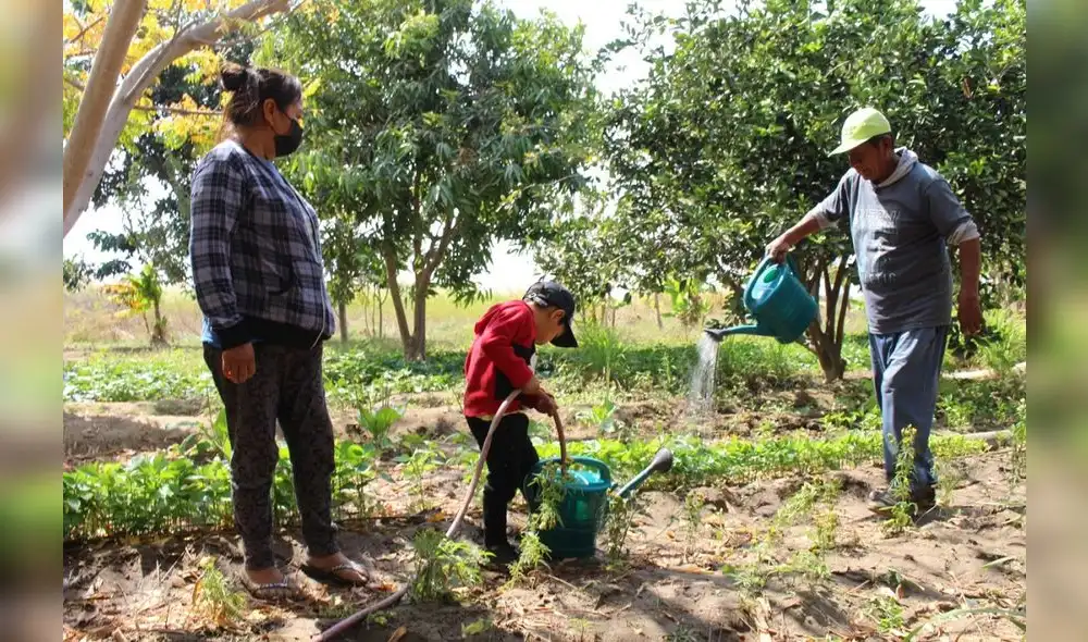 Disminuye índices de desnutricón crónica en Sechura. Foto: La República