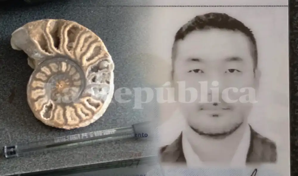 Fósil ammonite. Foto: Jorddy Quispe/La República Fósil ammonite. Foto: Jorddy Quispe/La República