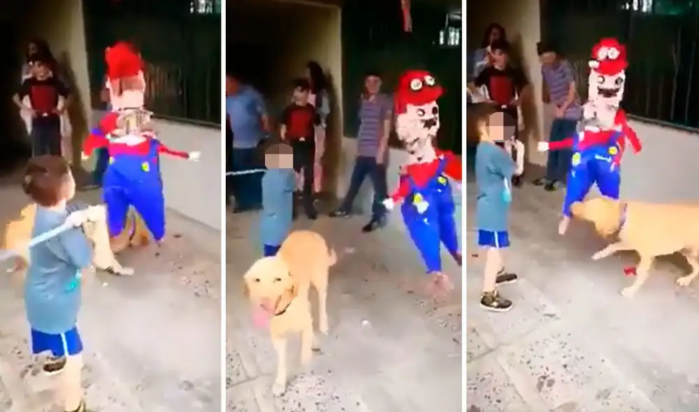 El cumpleañero se tomó su tiempo para romper su piñata de Mario Bros, sin imaginar que su mascota iba a arruinar ese momento. Foto: composición LR/Facebook El cumpleañero se tomó su tiempo para romper su piñata de Mario Bros, sin imaginar que su mascota iba a arruinar ese momento. Foto: composición LR/Facebook