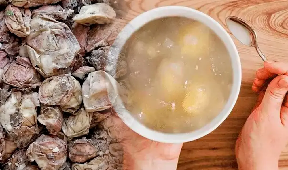 El tocosh es un alimento reconocido por combatir diversas enfermedades. Foto: composición LR/Andina/Wapa