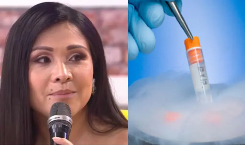 Tula Rodríguez aconseja a los televidentes sobre congelar los óvulos a temprana edad. Foto: composición LR/ captura LR/ PROCREAR Tula Rodríguez aconseja a los televidentes sobre congelar los óvulos a temprana edad. Foto: composición LR/ captura LR/ PROCREAR
