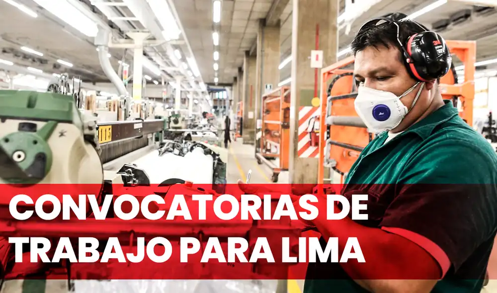 El tipo de contrato depende de cada entidad y los puestos de trabajo que ofrecen. En cuanto a la compensación económica, la remuneración máxima es de 12.000 soles. Foto: composición de Fabrizio Oviedo/Andina