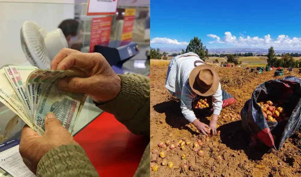 Los productores podrán cobrar el Fertiabono en las oficinas del Banco de Nación en función al último dígito de su DNI. Foto: composición LR/Andina/difusión