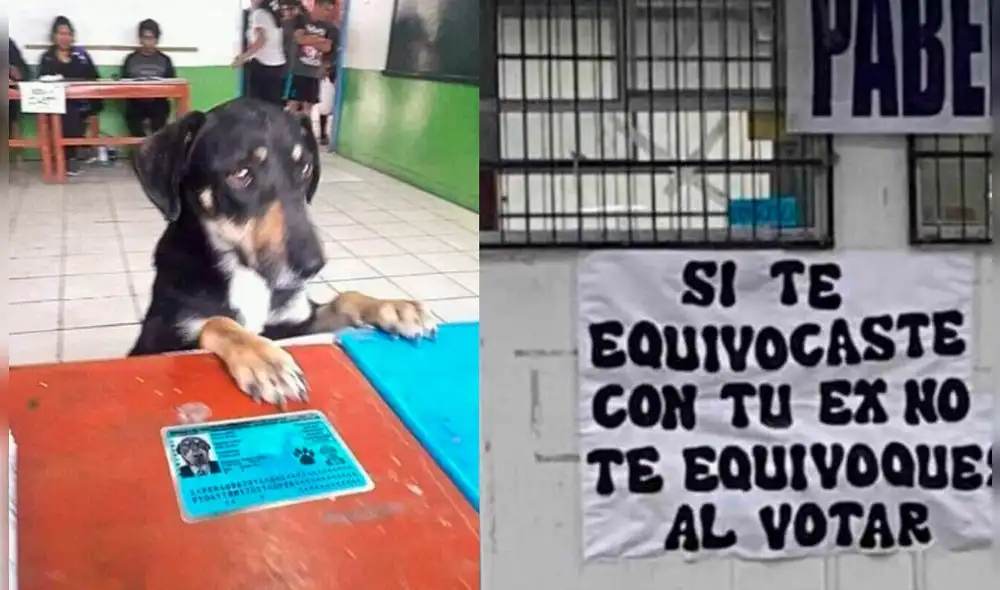 Usuarios comparten divertidos memes en el marco de las Elecciones 2022. Foto: composición LR Usuarios comparten divertidos memes en el marco de las Elecciones 2022. Foto: composición LR