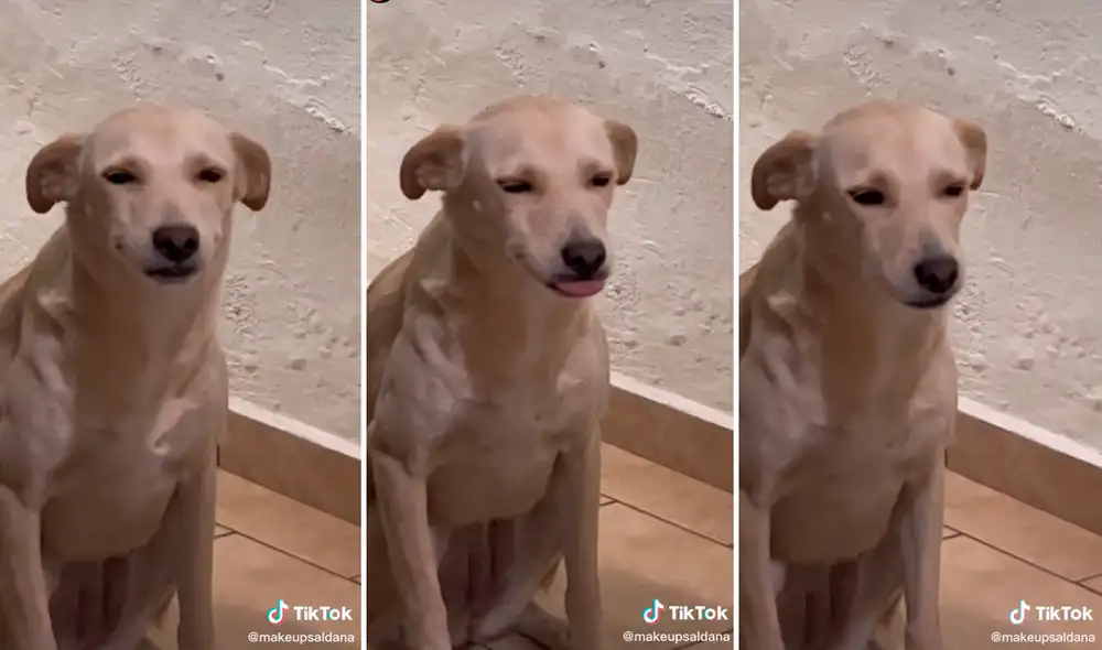 El video ha logrado más de 6 millones de visualizaciones. Foto: composición LR/captura de TikTok/@Makeupsaldana El video ha logrado más de 6 millones de visualizaciones. Foto: composición LR/captura de TikTok/@Makeupsaldana