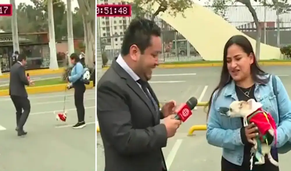 La mascota no quiso que el reportero entrevistara a su dueña. Foto: composición LR/captura de América TV La mascota no quiso que el reportero entrevistara a su dueña. Foto: composición LR/captura de América TV
