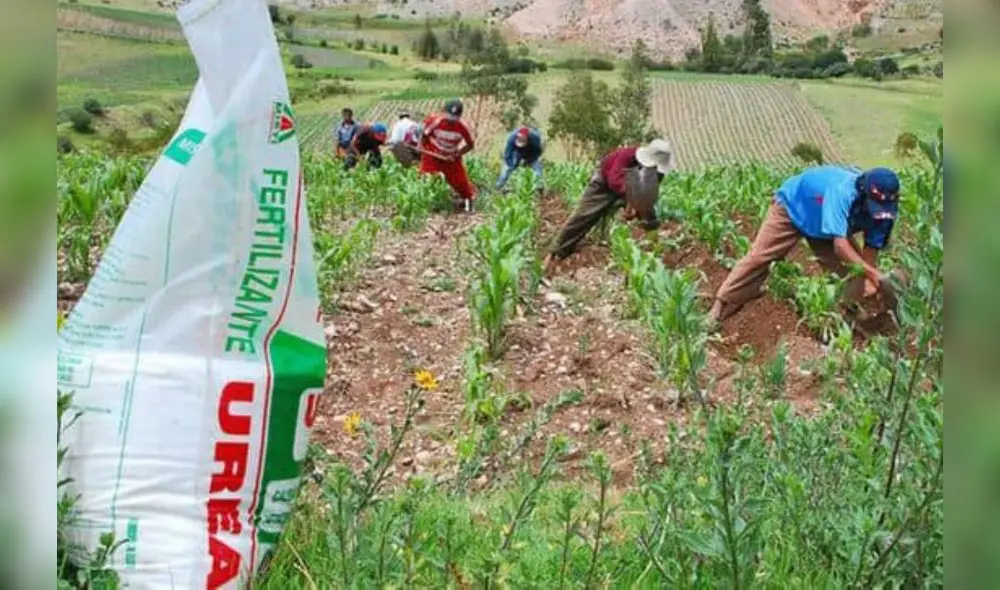 Comisión será presidida por el Ministerio de Desarrollo Agrario y Riego. Foto: Midagri Comisión será presidida por el Ministerio de Desarrollo Agrario y Riego. Foto: Midagri