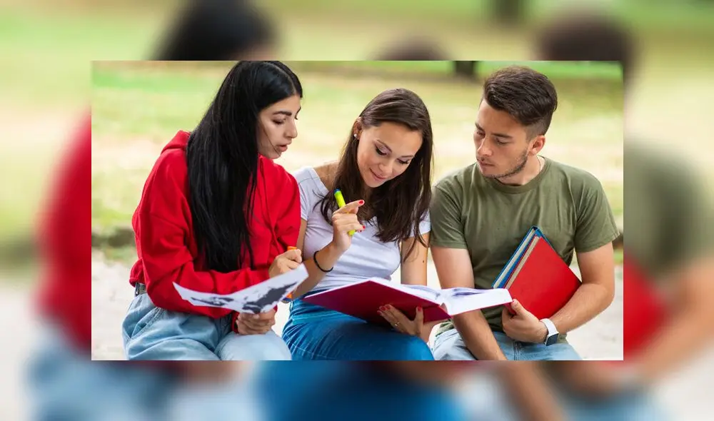 Group of students studying outdoor in park near school, college or university Group of students studying outdoor in park near school, college or university