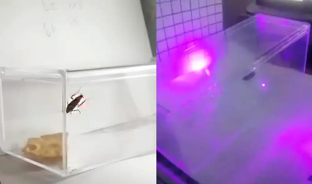 Fue efectivo en aniquilar a una distancia de 1,2 metros. Foto: captura de YouTube / @Ildar Rakhmatulin