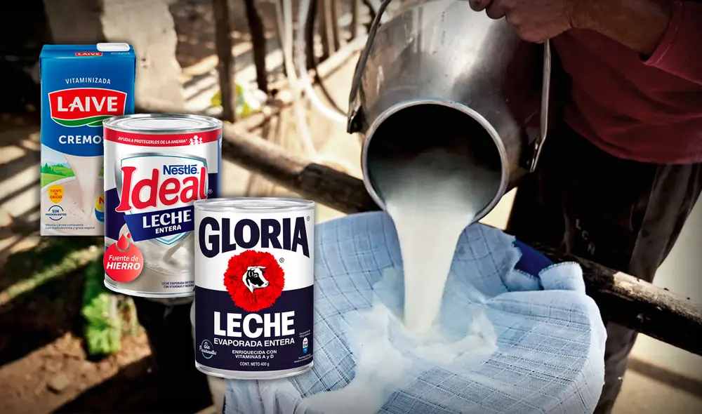 Ganaderos optan por vender la leche fresca que producen a Nestlé y Laive porque Gloria les bajó el precio por litro. Foto: composición LR / captura de video de Agalep Ganaderos optan por vender la leche fresca que producen a Nestlé y Laive porque Gloria les bajó el precio por litro. Foto: composición LR / captura de video de Agalep