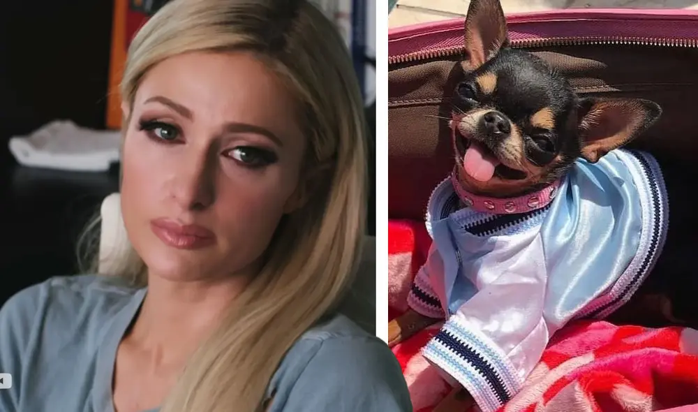 Paris Hilton también contrato a detectives y habilitó un dron para encontrar a Diamond Baby. Foto: composición LR/captura de Instagram/Paris Hilton