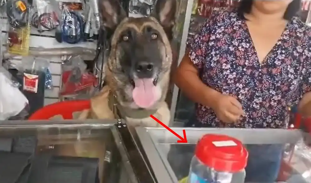 El video no tardó en viralizarse en redes sociales. Foto: composición LR/captura de Twitter/ @nami.vlog