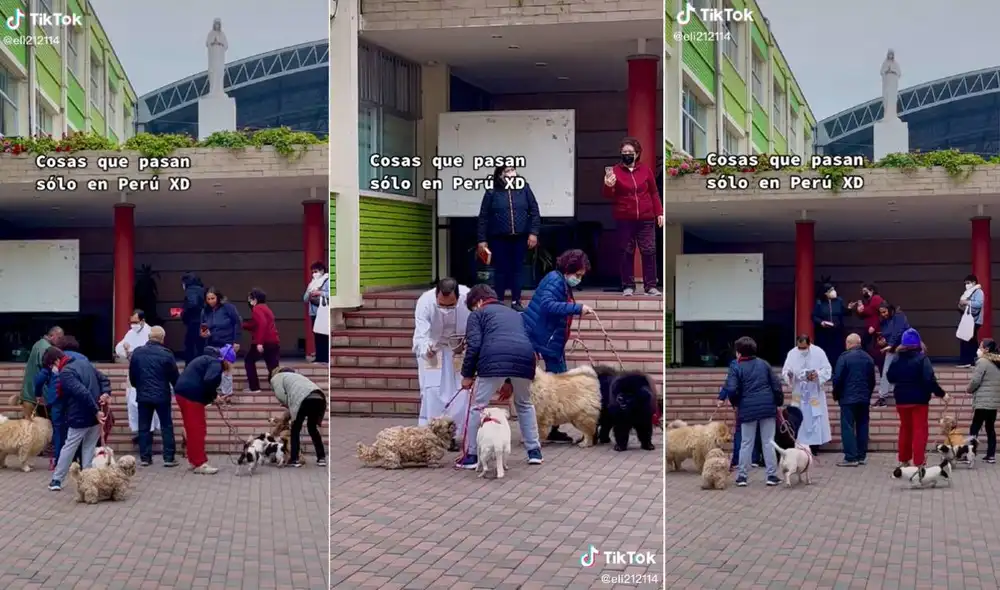 El curioso video se volvió tendencia rápidamente en las redes sociales. Foto: composición LR/captura de TikTok/ @eli212114 El curioso video se volvió tendencia rápidamente en las redes sociales. Foto: composición LR/captura de TikTok/ @eli212114