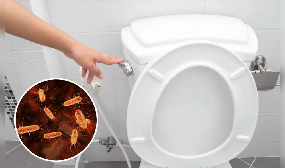 Según un estudio, bajar la palanca del inodoro con la tapa abierta puede causar la transmisión de diversas enfermedades infecciosas. Foto: composición LR/ El Financiero / Familydoctor