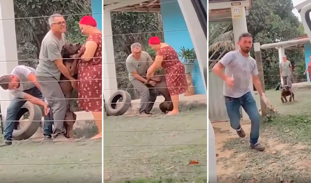 El hombre afortunadamente logró subirse a su auto para evitar algún daño. Foto: composición LR/captura de TikTok/@Noticias_sincontrol