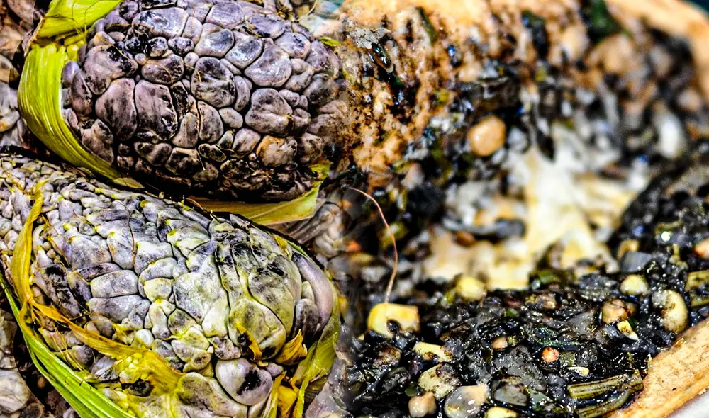 El maíz infectado, más conocido como huitlacoche, es el preferido en la gastronomía mexicana. Foto: composición LR/KiwiLimón El maíz infectado, más conocido como huitlacoche, es el preferido en la gastronomía mexicana. Foto: composición LR/KiwiLimón