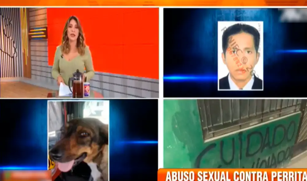 “A la simple palpación, se puede notar que hay bastante presencia de dolor", le diagnosticaron a su 'hijita' en la veterinaria. Foto: composición LR/captura de "ATV noticias" “A la simple palpación, se puede notar que hay bastante presencia de dolor", le diagnosticaron a su 'hijita' en la veterinaria. Foto: composición LR/captura de "ATV noticias"