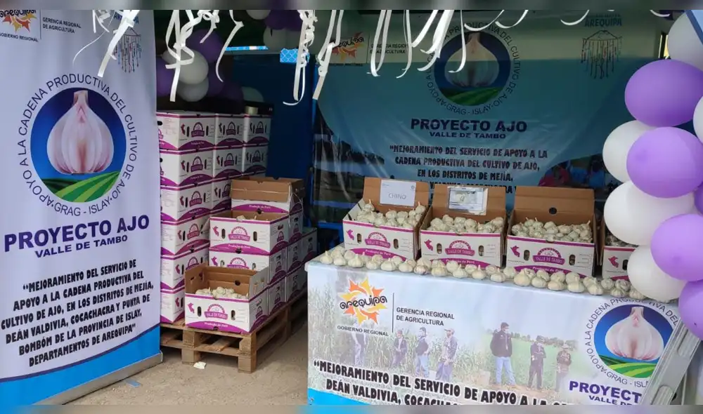 Mejoramiento de los servicios de apoyo a la cadena productiva del cultivo de ajo. Foto: GRA Mejoramiento de los servicios de apoyo a la cadena productiva del cultivo de ajo. Foto: GRA