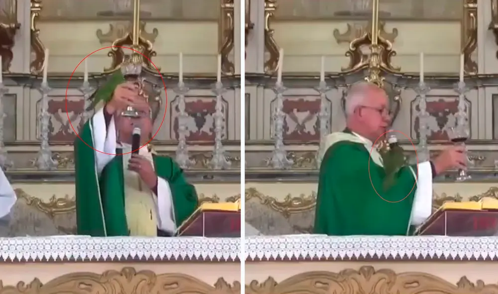 Las imágenes desataron las risas de 20 millones de usuarios. Foto: composición LR/captura de TikTok/@Tiagodonizetemsc